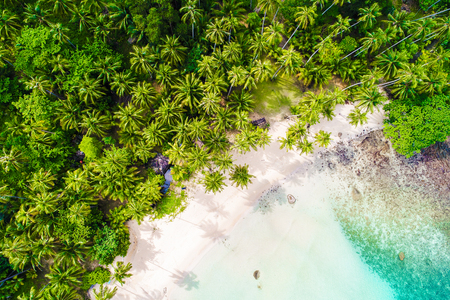 Tropical white sand bech with coconut palm tree background idyllic turquoise sea aerial viewの写真素材