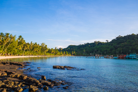 Tranquil sea beach with sand and rocky beach and coconut palm tree blue sky backgroundの写真素材