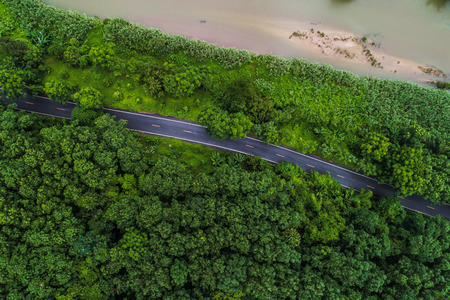Above aerial view of rural road in deep rain forest with green tree by drone