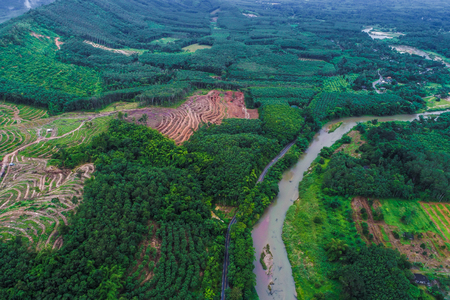 Aerial view of road in tropical green forest, Transport in natureの写真素材