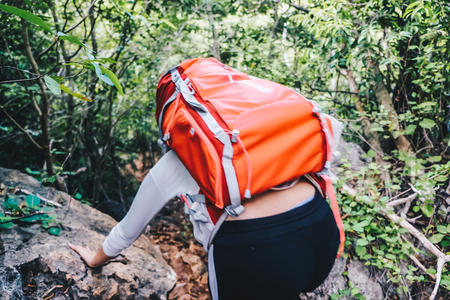 Tourist trekking women with backpack travel in tropical forest, People in nature