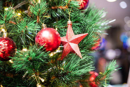 Christmas celebration concept with red ball hanging decorate gift on pine tree blurred background, Winter holidayの写真素材