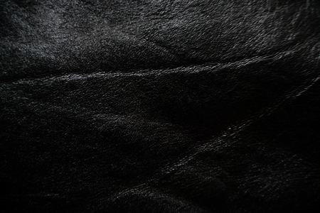 Genuine old black cow leather, Leather textureの写真素材