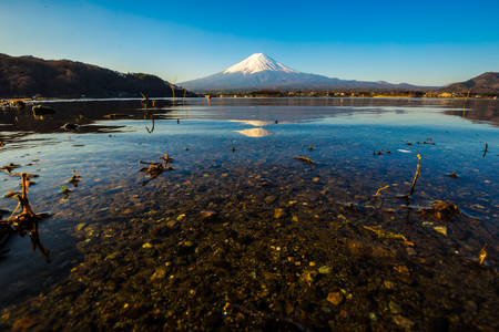 Fuji mountain and lake Kawaguchigo morning reflection nature landscape, Japanの写真素材