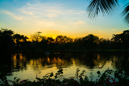 Sunset at park colorful sky cloud nature landscape tree forestの写真素材