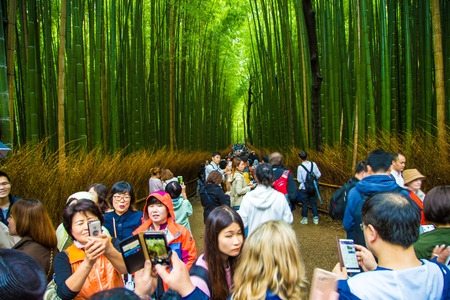 Kyoto Japan - April 8, 2017: Tourist travelling in The Bamboo Forest of Arashiyama enjoying take photo of sightseeing place in Japanのeditorial素材
