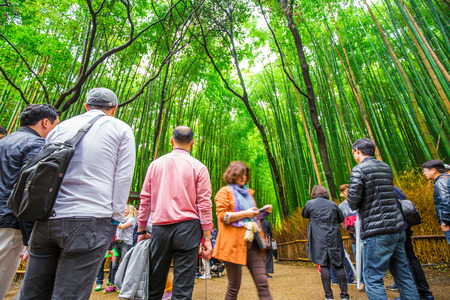 Kyoto Japan - April 8, 2017: Tourist travelling in The Bamboo Forest of Arashiyama enjoying take photo of sightseeing place in Japanのeditorial素材