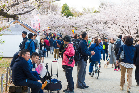 Himeji, Hyogo, Japan - April 9, 2017: Group of People picnicking under fully blossomed  Pink Sakura trees and petals at Himeji Castle Park. Travel seasons in Japan.のeditorial素材