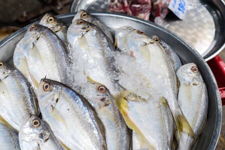 Seafood fish sell in traditional fishery marketの写真素材
