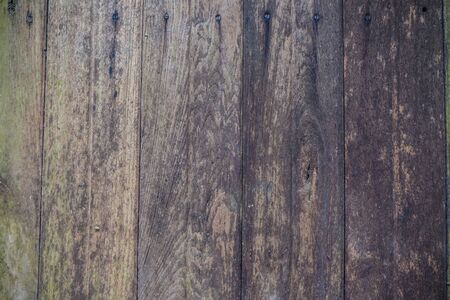 Grunge old woode texture vintage background, Nature decorationの写真素材