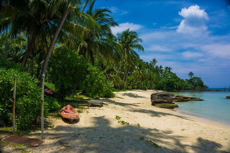 Beautiful sea beach with coconut tree blue skyの写真素材