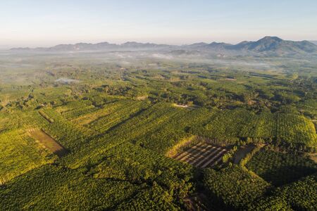 Aerial view morning sunrise rain forest with villagenature landscapeの写真素材