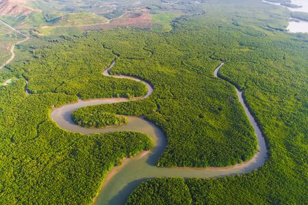 Tropical rainforest mangrove tree field with sea bay ecology systemの写真素材