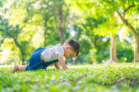 Funny baby boy crawling on green grass meadow in city park morning lightの写真素材