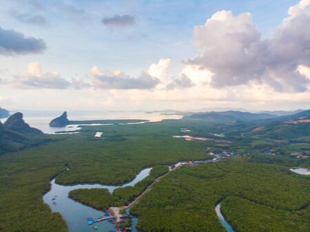 Aerial vire green tropicl mangrove forest nature landscapeの写真素材