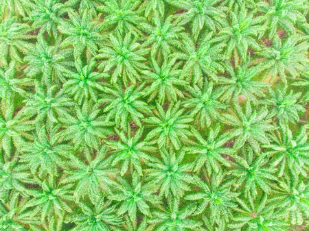 Aeriala view out bound city transport with circular junction road, TRansport conceptの写真素材