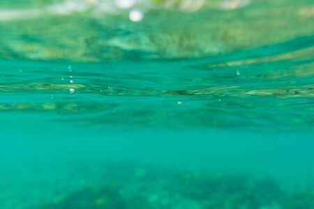 Abstract sea water sponge bubble background under waterの写真素材
