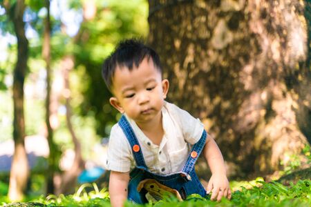Adorable 10 month baby boy crawling on green grass in city park under treeの写真素材