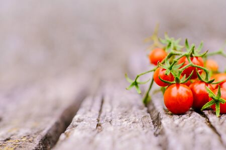 Fresh organic traditional small tomato with green vine on wood background