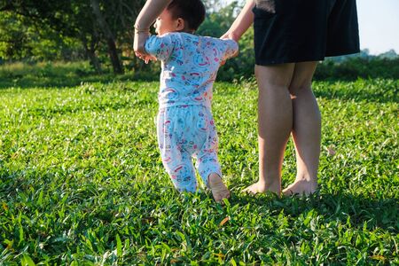 Adorable little baby boy first walking on green grass morning sunny lightの写真素材