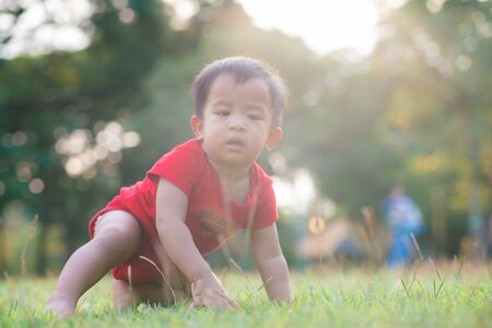 Asian baby boy crawling on green grass city park sunset outdoorの写真素材