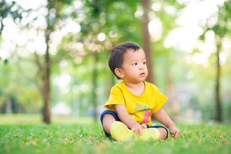 Adorable toddler baby boy playing in city park green tree sunset light