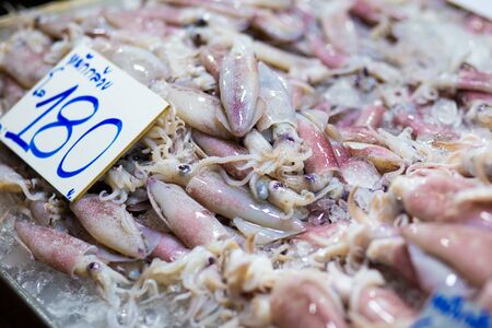 Frozen fresh squid close up on ice sell in market, Seafoodの写真素材