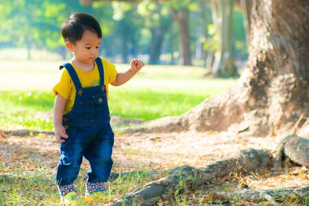 Adorable asian boy playing in tree forest park morning sunrise nature learnning explore boy