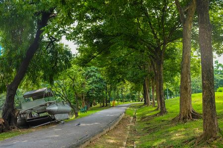 Green city public park with walk pathway urban lifeの写真素材