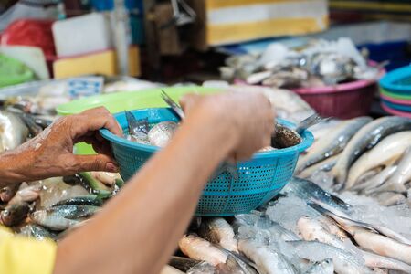 Fresh sea fish sell in local fishery market in Samutprakhan, Thailandの写真素材