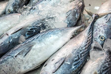 Fresh sea fish sell in local fishery market in Samutprakhan, Thailandの写真素材