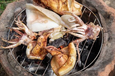 Big squid grilled on fire traditional cooking, Seafood objectの写真素材