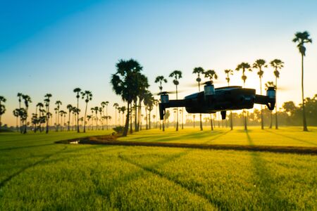 Drone flying on rice plantation field land terrace survey morning sunriseの写真素材