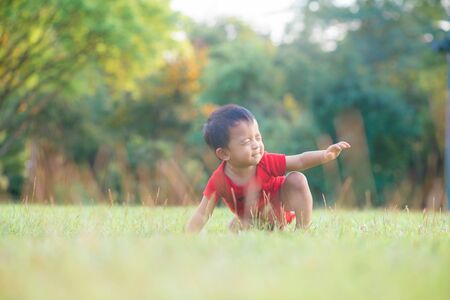 Funny asian boy crawling on green meadow city park sunset baby exerciseの写真素材