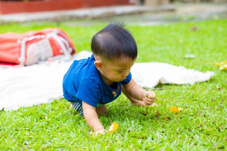 1 year baby boy crawling on green meadow in city park weeken recreationの写真素材