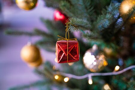 Gift box on christmas pine tree decoration object winter festivalの写真素材