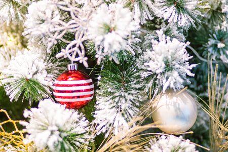 Christmas ball with decoration gift on pine tree backgroundの写真素材