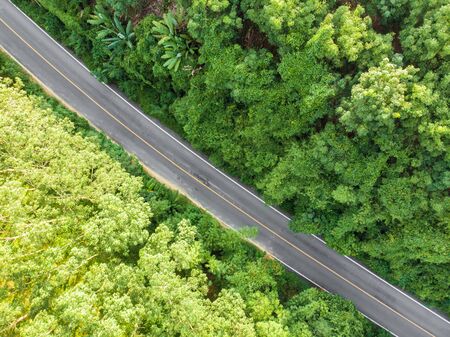 Rural Asphalt road through tropical rainforestgreen tree aerial viewの写真素材