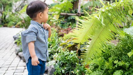 Adorable baby boy toddler walking in garden hpme green tree boy in natureの写真素材