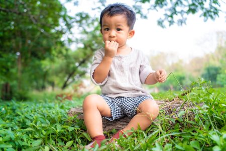 Adorable asian preschooler boy playing in summer park sittingon the grass, Boy in summer parkの写真素材
