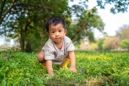 Adorable asian preschooler boy playing in summer park sittingon the grass, Boy in summer parkの写真素材
