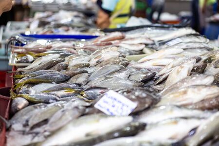 Fresh dea fish sell in fishery market seafood industry