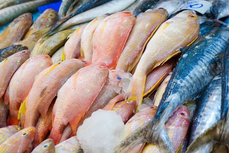 Many type colorful of seafood fish sell in fishery local market, Food industry