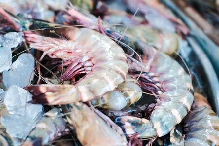Fresh uncook tiger prawn shrimp sell in market close up seafoodの写真素材