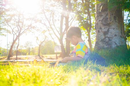 Little asian boy sitting on green grass under tree use tablet computer internet browser in citty park sunset lightの写真素材