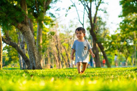 Asian boy walking on green grass relaxing sunset light in city park 1-2 year toddler boyの写真素材
