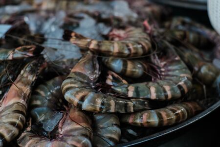 Feresh tiger prawn shrimp sell in fishery market close up seafoodの写真素材