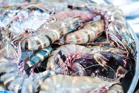 Feresh tiger prawn shrimp sell in fishery market close up seafoodの写真素材