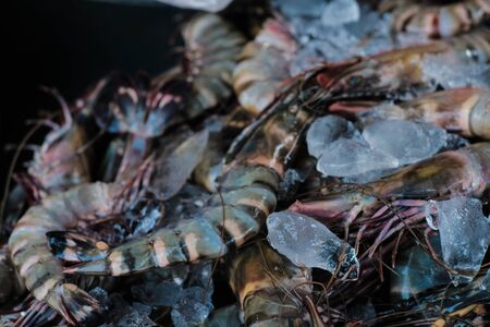 Feresh tiger prawn shrimp sell in fishery market close up seafoodの写真素材