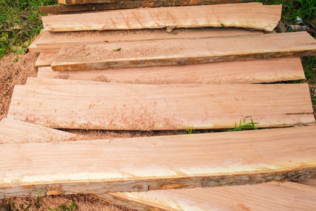 Neem tree Azadirachta excelsa (jack) jacob lumber wood industry, wood texture backgroundの写真素材